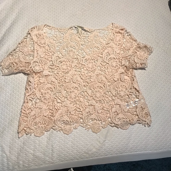 Pink Lace Forever 21 Crop Top - Picture 2 of 2
